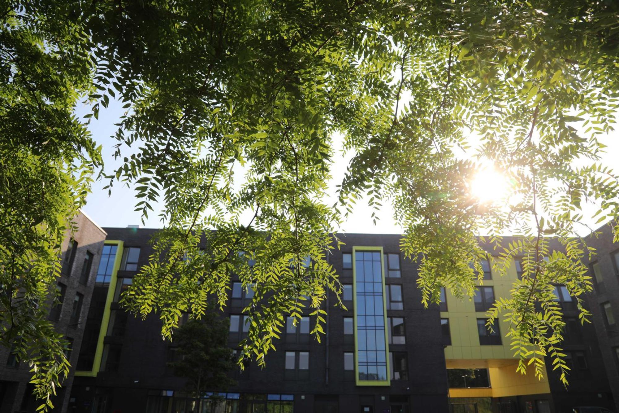 Goldcrest Village Apartments University Of Galway Kültér fotó